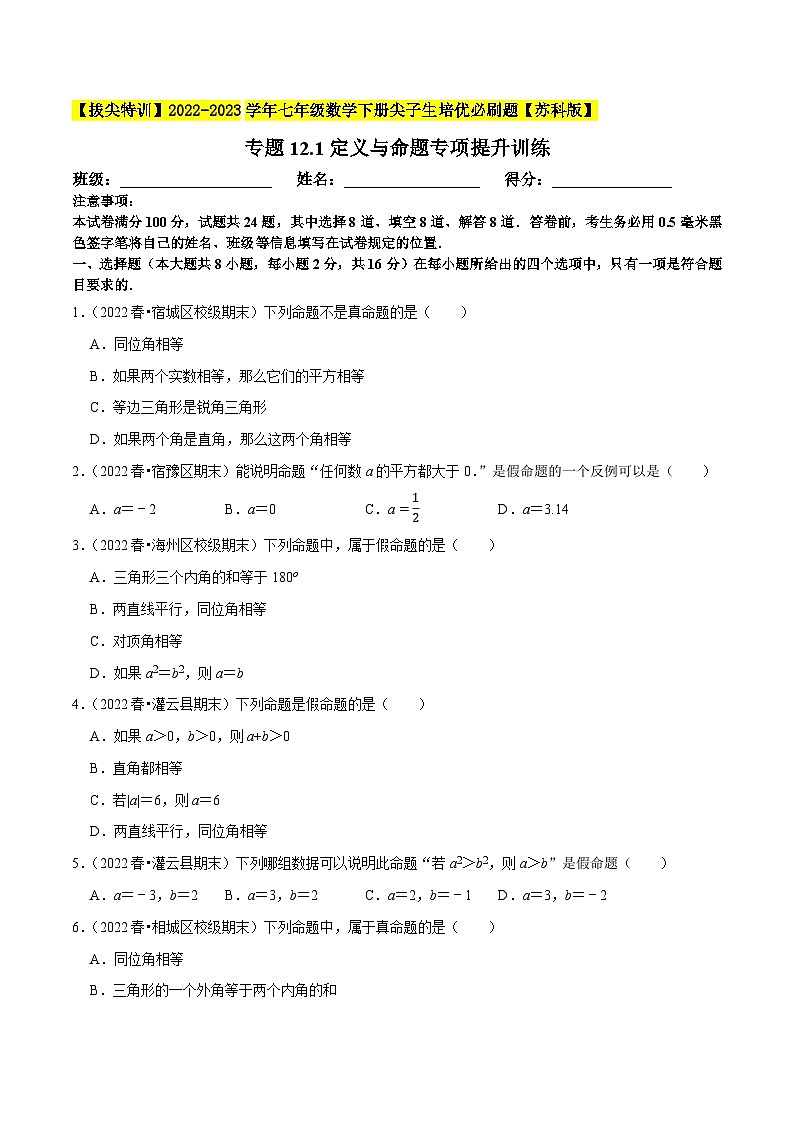 专题12.1定义与命题专项提升训练-【拔尖特训】2022-2023学年七年级数学下册尖子生培优必刷题【苏科版】01
