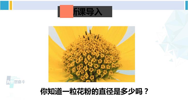 北师大版七年级数学下册 第一章 整式的乘除 第二课时 用科学记数法表示绝对值较小的数(课件)第2页