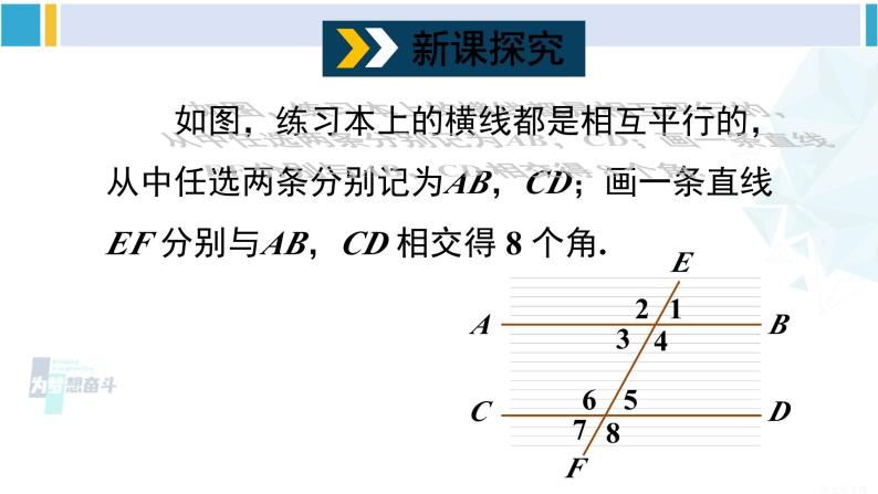 沪科版七年级数学下册 第10章 相交线、平行线与平移 10.3 平行线的性质（课件）04