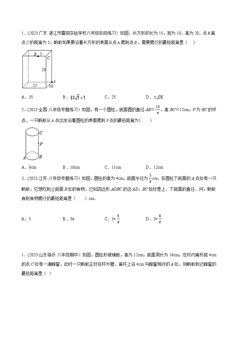 中考数学几何模型专项复习 模型27 勾股定理——蚂蚁爬行模型-(原卷版+解析)第3页