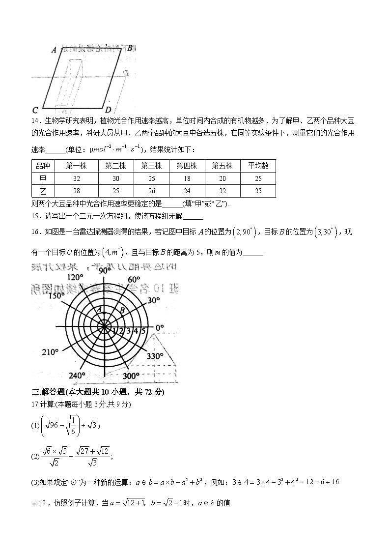 山东省青岛市城阳区2023-2024学年八年级上学期期末数学试题03