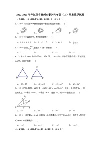 江苏省泰州市泰兴市2022-2023学年八年级上学期期末数学试卷(含答案)