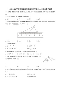 2023-2024学年河南省南阳市油田九年级(上)期末数学试卷(含解析)