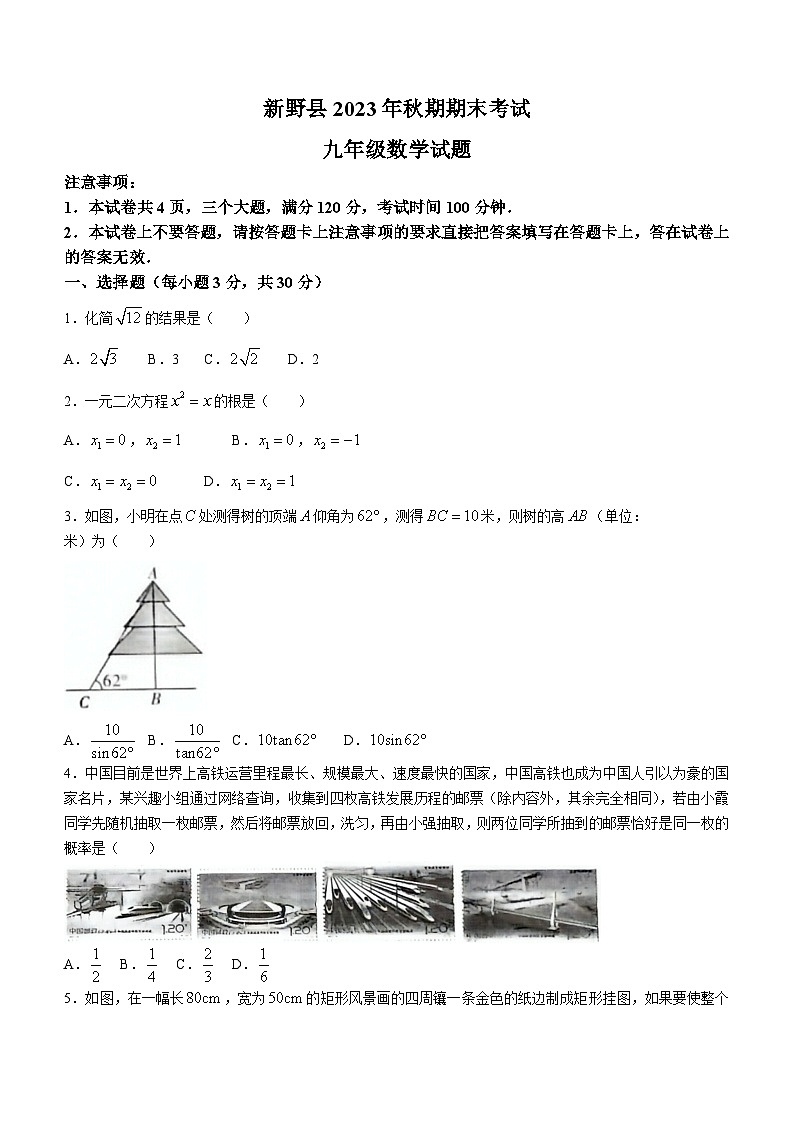 河南省南阳市新野县2023-2024学年九年级上学期期末数学试题(无答案)第1页