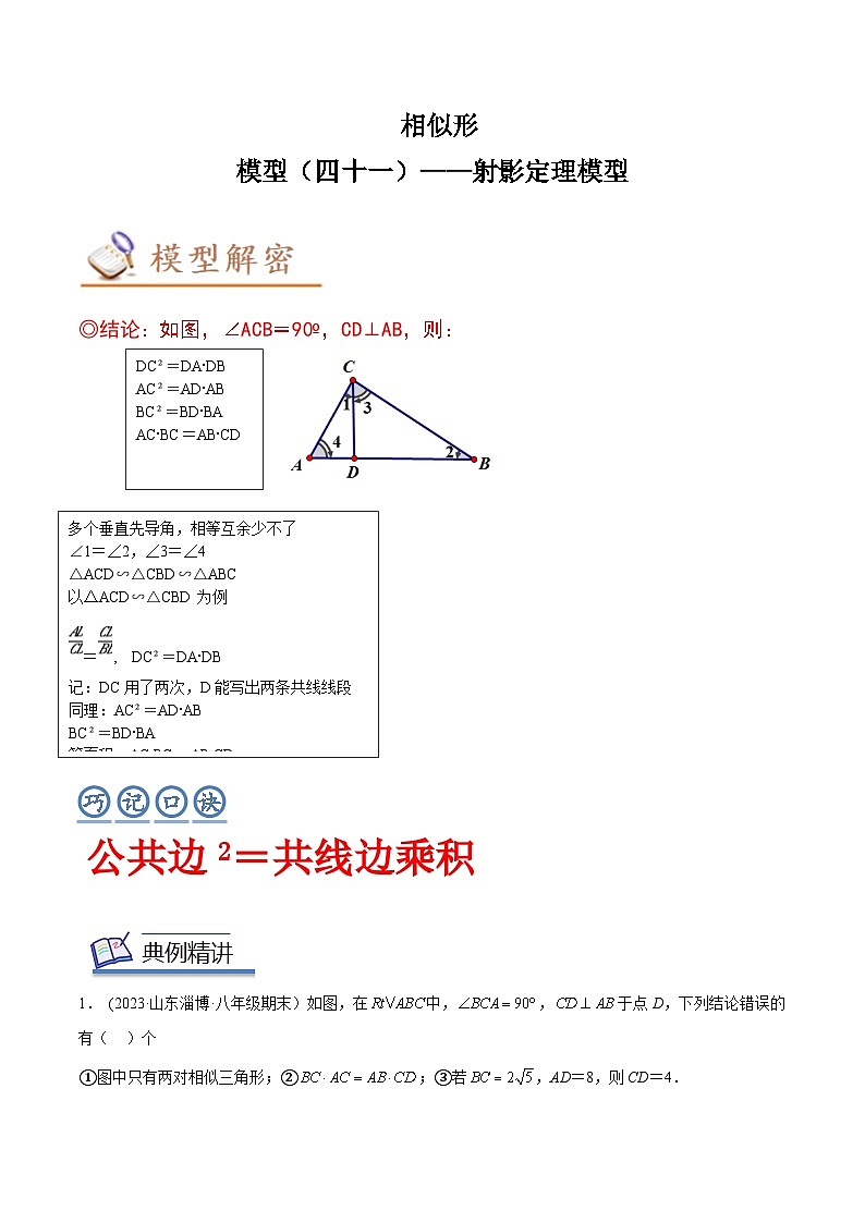 2024年中考数学几何模型专项复习讲与练 模型41 相似形——射影定理模型-原卷版+解析01