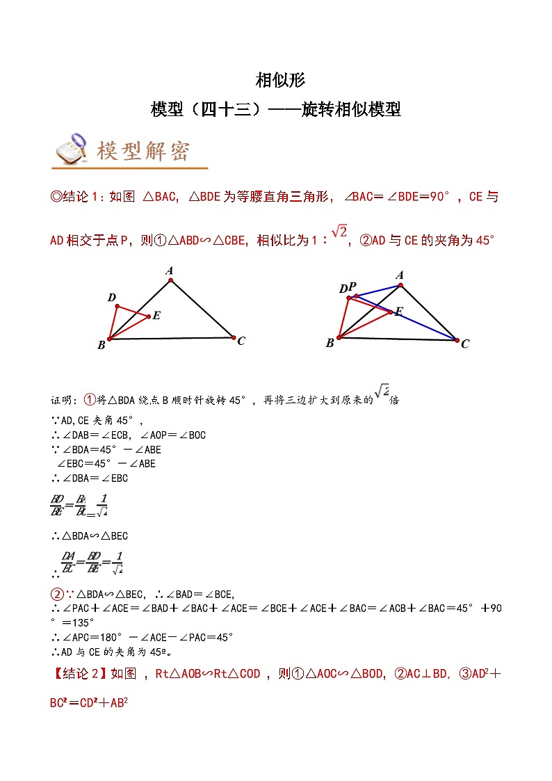 2024年中考数学几何模型专项复习讲与练 模型43 相似形——旋转相似模型-原卷版+解析01
