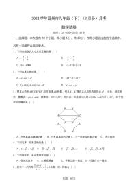 2024届温州市九年级(下)月考数学试卷(3月份)