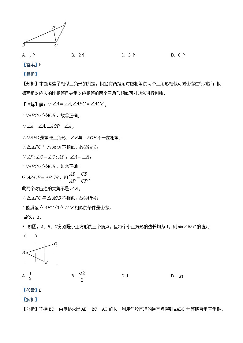 240,山东省聊城市聊城文轩初级中学2023-2024学年九年级上学期期末数学试题02