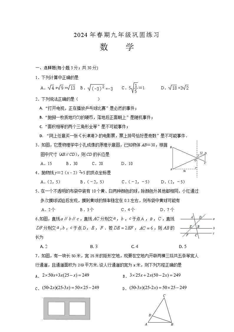 河南省南阳市南召县2023-2024学年+九年级下学期开学数学练习第1页