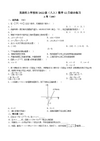 四川省成都市龙泉驿区龙泉驿区师上学校2023-2024年八年级上学期12月月考数学试题()