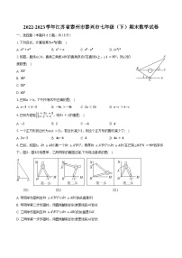 2022-2023学年江苏省泰州市泰兴市七年级（下）期末数学试卷（含解析）