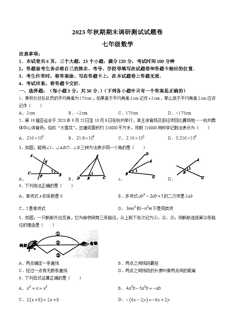 河南省南阳市2023-2024学年七年级上学期期末数学试题第1页