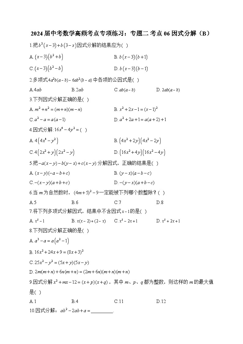 2024届中考数学高频考点专项练习:专题二 考点06 因式分解(B)及答案第1页