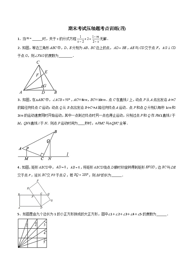 人教版八年級數(shù)學上冊同步精品壓軸題期末考試壓軸題考點訓練(四)(學生版+解析)第1頁