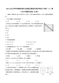 2023-2024學(xué)年河南省鄭州市高新區(qū)楓楊外國(guó)語(yǔ)學(xué)校八年級(jí)（上）第二次月考數(shù)學(xué)試卷（B卷）（含解析）