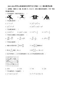 山东省滨州市邹平市2023-2024学年八年级上学期期末数学试题(解析版+原卷版)