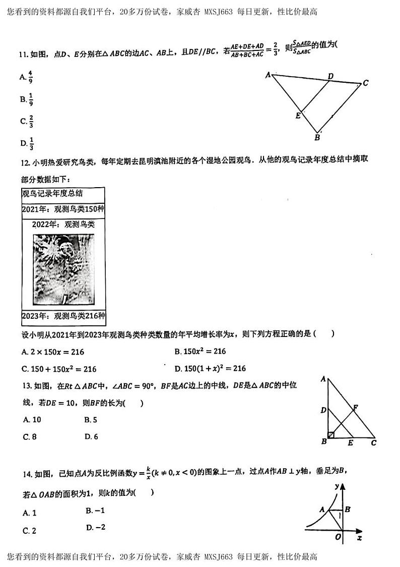 300,云南省云南师范大学实验中学昆明湖校区2023-2024学年九年级下学期数学开学考试试卷第3页