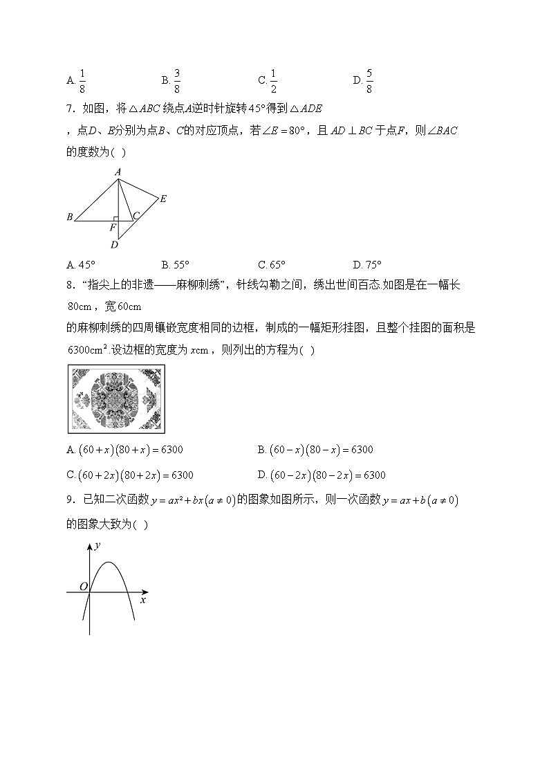 四川省广元市苍溪县2024届九年级上学期期末学业水平测试数学试卷(含答案)第2页