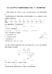 2023-2024学年辽宁省抚顺市抚顺县七年级（上）期末数学试卷（含详细答案解析）