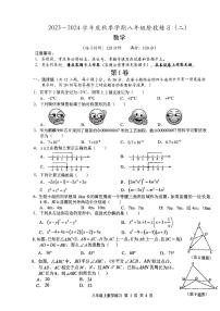 广西南宁市第三中学2023-2024学年八年级上学期12月月考数学试题