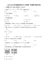 福建省泉州市永春县2023-2024学年八年级上学期期中数学试题（原卷版+解析版）
