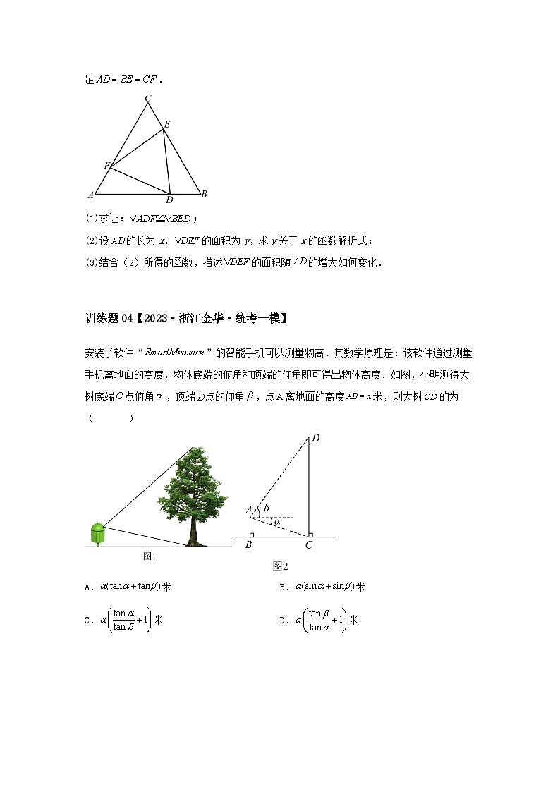 2024中考数学几何压轴专题训练-专题03三角形之三角函数问题(含解析)第2页