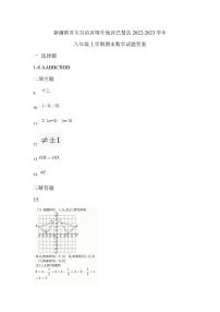 新疆喀什地区巴楚县2022-2023学年八年级上学期期末考试数学试卷(含答案)