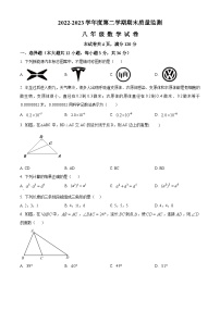 广西壮族自治区柳州市鱼峰区2022-2023学年八年级上学期期末数学试题（原卷版+解析版）