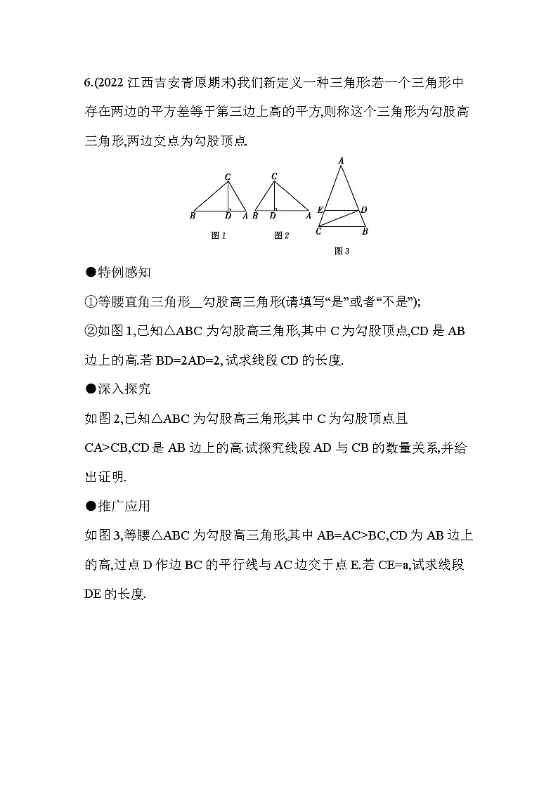 09-专项素养综合全练(九)新定义型问题——2024年鲁教版数学七年级下册精品同步练习第3页