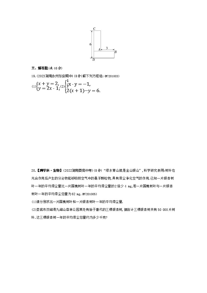 第1章 二元一次方程组综合检测——2024年湘教版数学七年级下册精品同步练习03