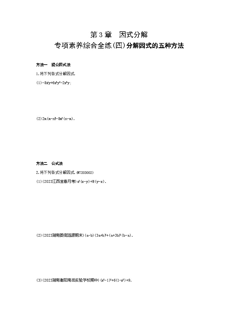04-专项素养综合全练(四)分解因式的五种方法——2024年湘教版数学七年级下册精品同步练习01