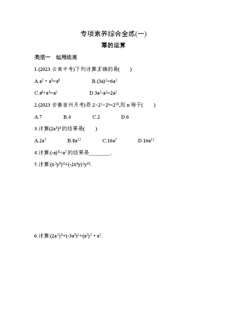 01-专项素养综合全练(一)幂的运算——2024年北师大版数学七年级下册精品同步练习01