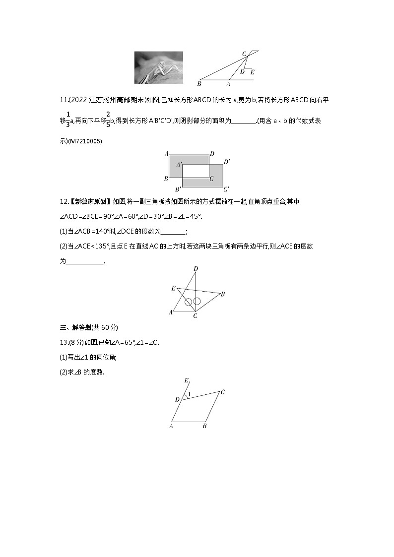 第10章 相交线、平行线与平移综合检测——2024年沪科版数学七年级下册精品同步练习第3页