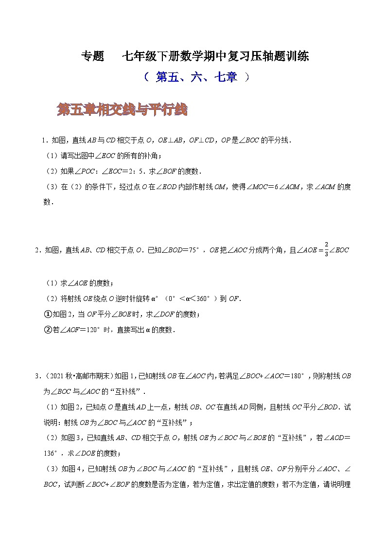 人教版七年级数学下册同步精讲精练专题期中复习压轴题训练(第五、六、七章)(原卷版+解析)第1页
