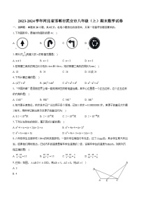 2023-2024学年河北省邯郸市武安市八年级(上)期末数学试卷(含详细答案解析)