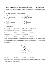 2023-2024学年辽宁省葫芦岛市绥中县八年级（上）期末数学试卷(含详细答案解析)