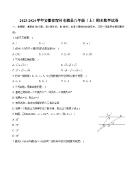 2023-2024学年安徽省宿州市泗县八年级(上)期末数学试卷(含详细答案解析)