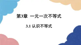 浙教版数学八年级上册 3.1认识不等式课件