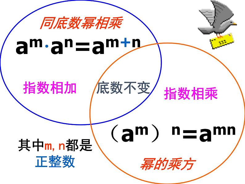 第8章 幂的运算小结与思考-苏科版数学七年级下册同步课件第7页