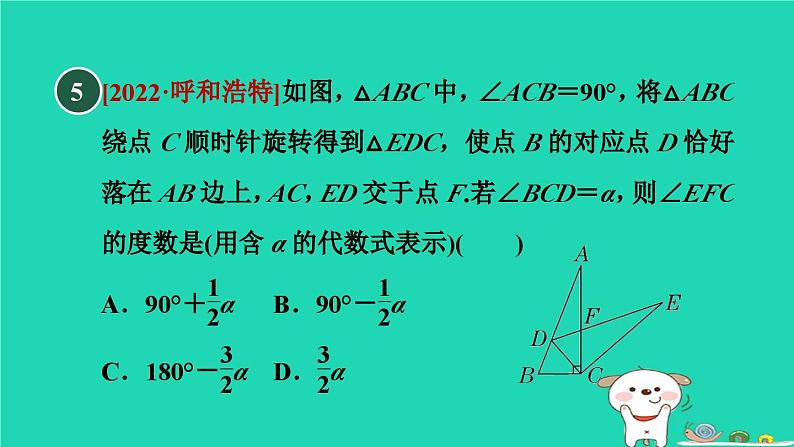 2024春九年级数学下册第24章圆测素质图形的旋转及应用作业课件新版沪科版第7页