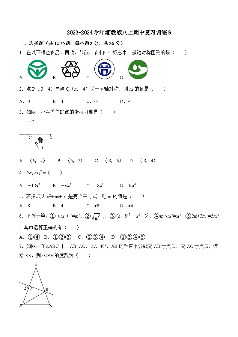 2023—2024学年湘教版数学八年级上册期中复习训练(无答案)第1页