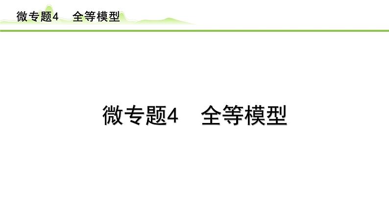 2024年中考数学复习课件---微专题4 全等模型01