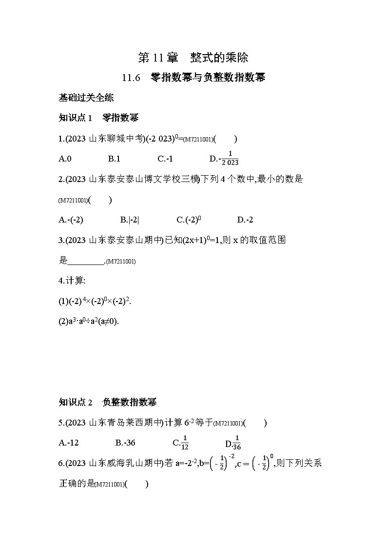 11.6 零指数幂与负整数指数幂--2024年青岛版数学七年级下册精品同步练习01