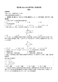 贵州省遵义市十校联考2023-2024学年八年级上学期12月月考数学试题