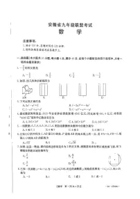 2024年安徽省六安市金寨县九年级全县第一次统一质量监测数学试卷