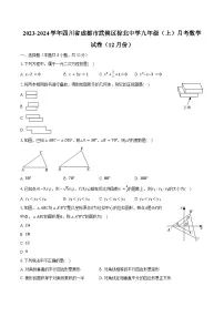 2023-2024学年四川省成都市武侯区棕北中学九年级(上)月考数学试卷(12月份)(含解析)