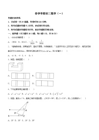 2024年广东省茂名市博雅中学中考一模数学试题（含答案）
