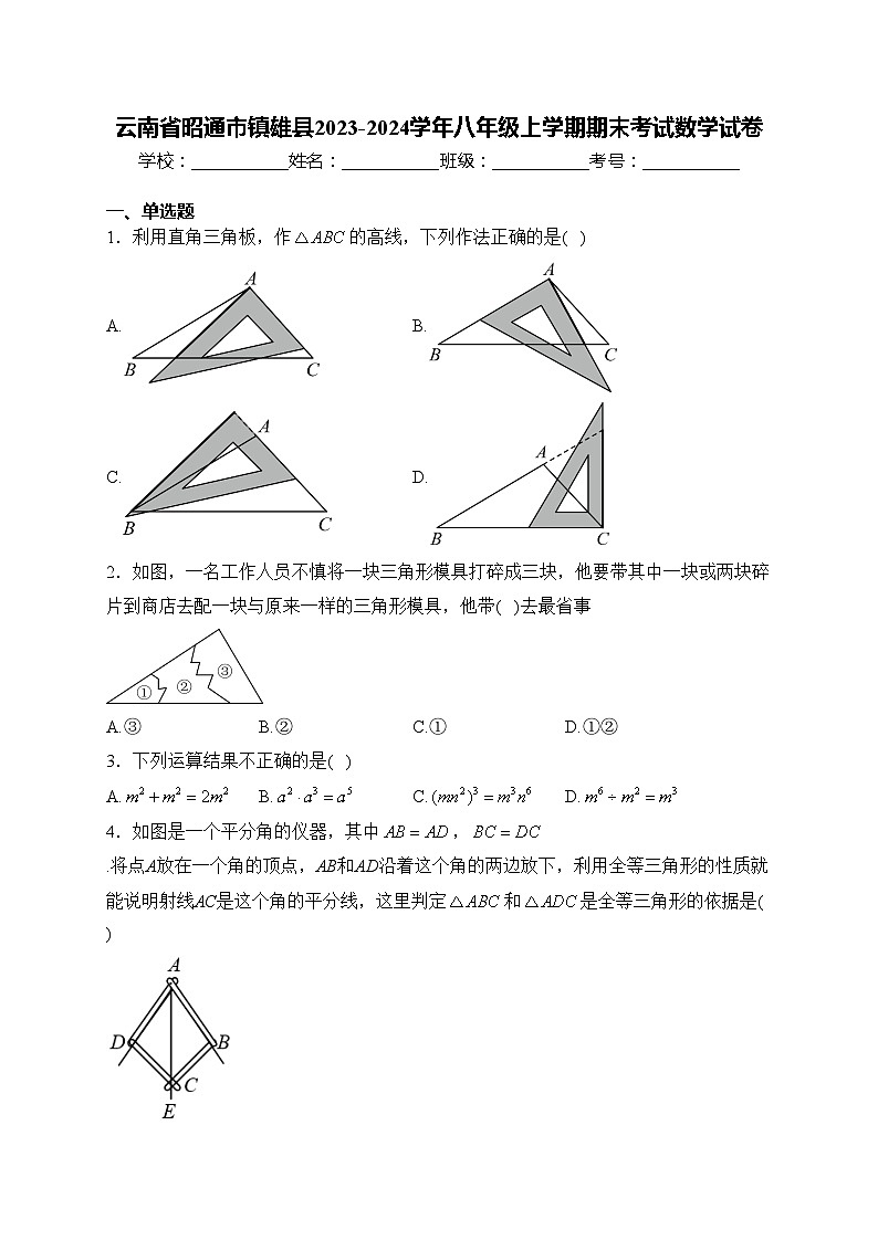 云南省昭通市镇雄县2023-2024学年八年级上学期期末考试数学试卷(含答案)第1页
