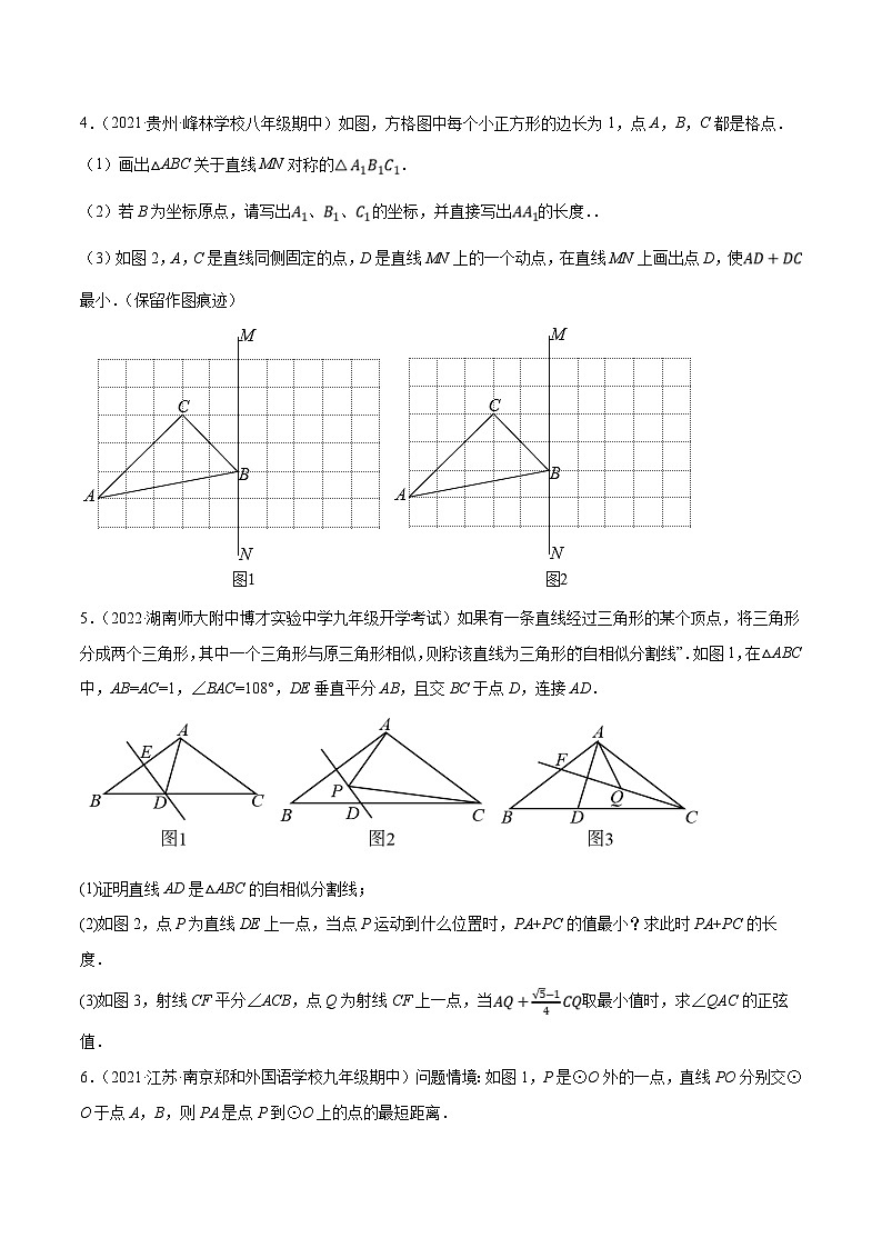 中考数学二轮复习考点培优专练专题六 几何最值问题(原卷版)第2页