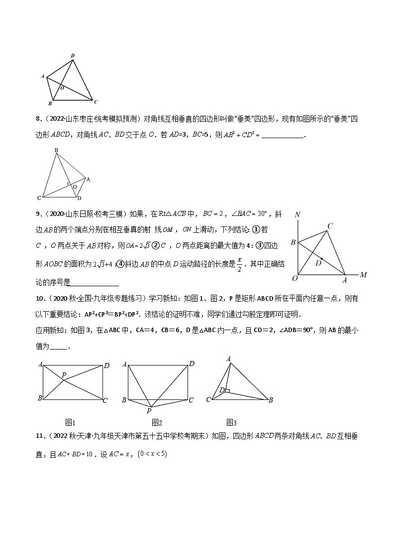 中考数学二轮复习满分突破几何模型练习专题21 垂美四边形模型(2份打包,原卷版+解析版)03